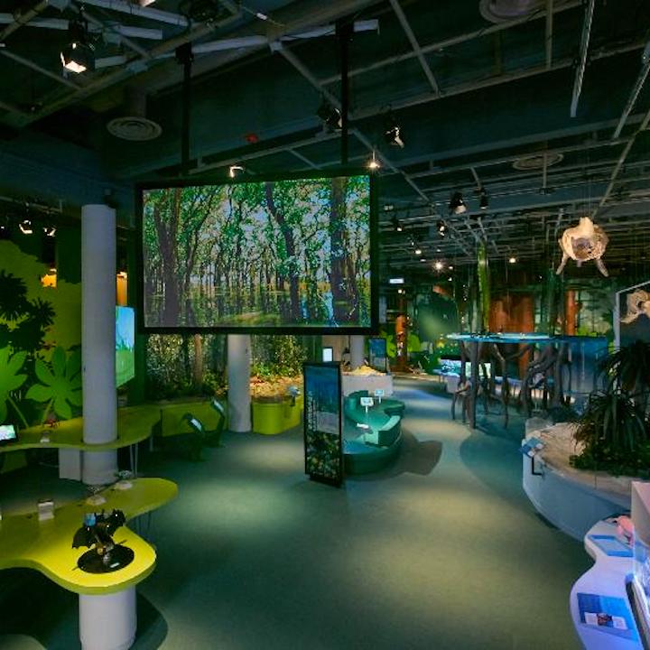 museums hong kong visit things to do whats on lifestyle exhibitions installations events talks tours panels hong kong science museum